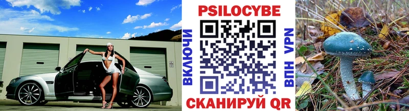 Псилоцибиновые грибы Psilocybine cubensis  купить  цена  Приволжск 